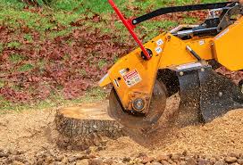 Best Grass Overseeding  in Harrison, NY